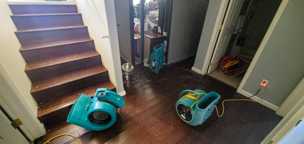 Best Local water damage restoration  in Bevil Oaks, TX