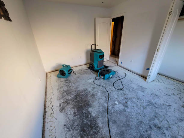 Best Fire Damage Restoration  in Bevil Oaks, TX