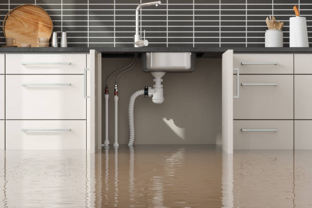 Reliable Bevil Oaks, TX Water damage restoration Solutions