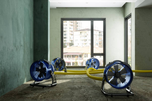 Best Emergency water damage restoration  in Bevil Oaks, TX
