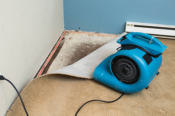 Best Flooded house restoration  in Bevil Oaks, TX